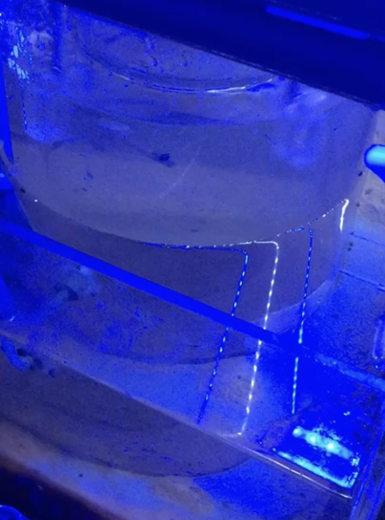 Flume experiment setup